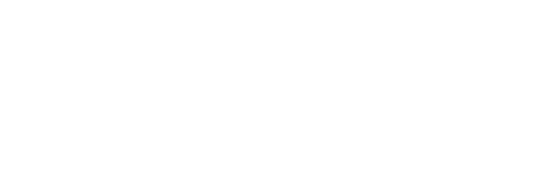 Black Forest Lab Flux Logo
